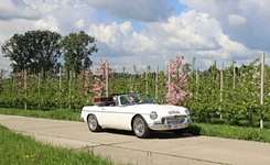 MG Bloesemrit -  19 april 2026