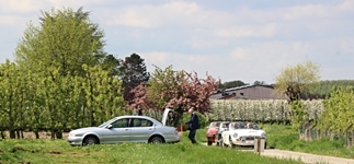 MG Bloesemrit -  19 april 2026