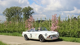 MG Bloesemrit -  19 april 2026