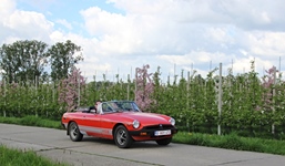 MG Bloesemrit -  19 april 2026