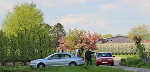 MG Bloesemrit -  19 april 2026