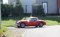MG Bloesemrit -  19 april 2026