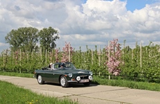 MG Bloesemrit -  19 april 2026
