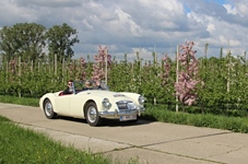 MG Bloesemrit -  19 april 2026