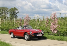 MG Bloesemrit -  19 april 2026