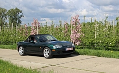 MG Bloesemrit -  19 april 2026