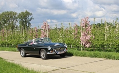 MG Bloesemrit -  19 april 2026