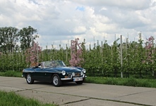 MG Bloesemrit -  19 april 2026