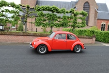 Corsendonkrit -  3 mei 2026