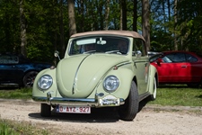 Bloesemrit Ter Quabeecke -  25 april 2026