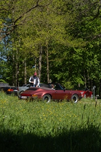 Bloesemrit Ter Quabeecke -  25 april 2026