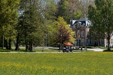Bloesemrit Ter Quabeecke -  25 april 2026