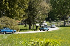 Bloesemrit Ter Quabeecke -  25 april 2026