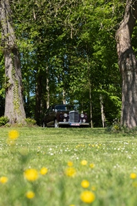 Bloesemrit Ter Quabeecke -  25 april 2026