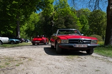 Bloesemrit Ter Quabeecke -  25 april 2026