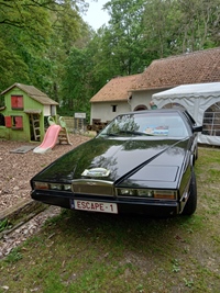 Bloesemrit Ter Quabeecke -  25 april 2026