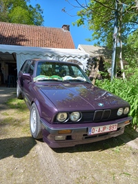 Bloesemrit Ter Quabeecke -  25 april 2026