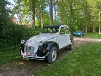 Bloesemrit Ter Quabeecke -  25 april 2026