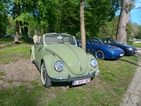 Bloesemrit Ter Quabeecke -  25 april 2026