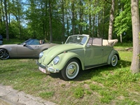 Bloesemrit Ter Quabeecke -  25 april 2026