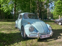 Bloesemrit Ter Quabeecke -  25 april 2026