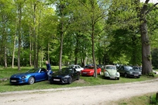 Bloesemrit Ter Quabeecke -  25 april 2026