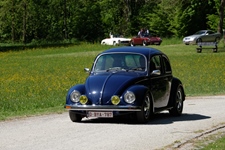 Bloesemrit Ter Quabeecke -  25 april 2026