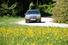 Bloesemrit Ter Quabeecke -  25 april 2026