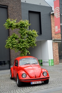 Classic Cars Peer Rally & Race meeting -  14 mei 2026
