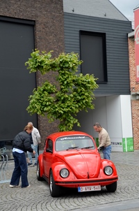 Classic Cars Peer Rally & Race meeting -  14 mei 2026