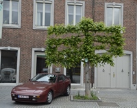 Classic Cars Peer Rally & Race meeting -  14 mei 2026