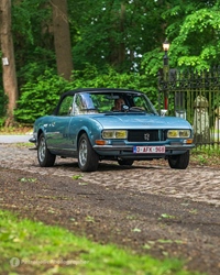 Lions Historic Rally -  15 mei 2026