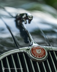 Lions Historic Rally -  15 mei 2026