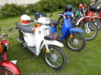 Aardbeirit Melsele -  16 mei 2026