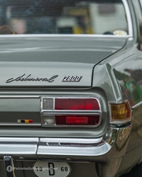 Zelems Oldtimertreffen -  17 mei 2026