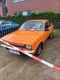 Oldimermeeting Zelem Halen -  17 mei 2026