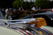 The Dukes Cruisers Go Crazy #18 -  24 mei 2026