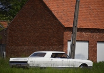 The Dukes Cruisers Go Crazy #18 -  24 mei 2026