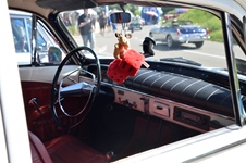 Oldtimertreffen Lubfest @ Lubbeek -  25 mei 2026