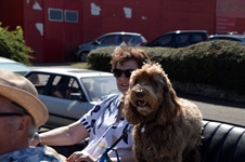 Oldtimertreffen Lubfest @ Lubbeek -  25 mei 2026