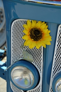 Oldtimertreffen Lubfest @ Lubbeek -  25 mei 2026