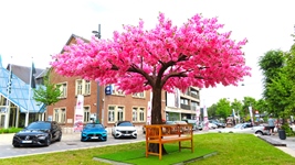 Mercedes Treffen Lommel -  31 mei 2026