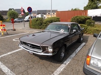 The New Kempen Historic -  31 mei 2026