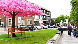 Corvette treffen Lommel -  7 juni 2026