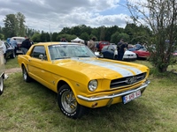 Oldtimershow Blauwmolen Nieuwrode -  7 juni 2026