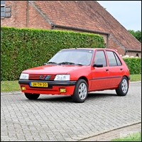 9de Ravelse Pierenrit -  7 juni 2026