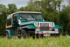 Oldtimershow Blauwmolen -  7 juni 2026