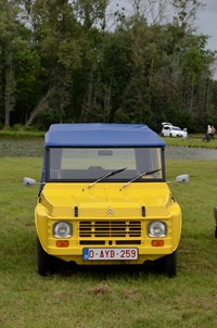 Oldtimershow Blauwmolen -  7 juni 2026