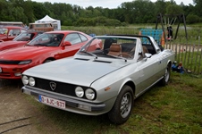 Oldtimershow Blauwmolen -  7 juni 2026