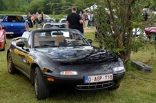 Oldtimershow Blauwmolen -  7 juni 2026